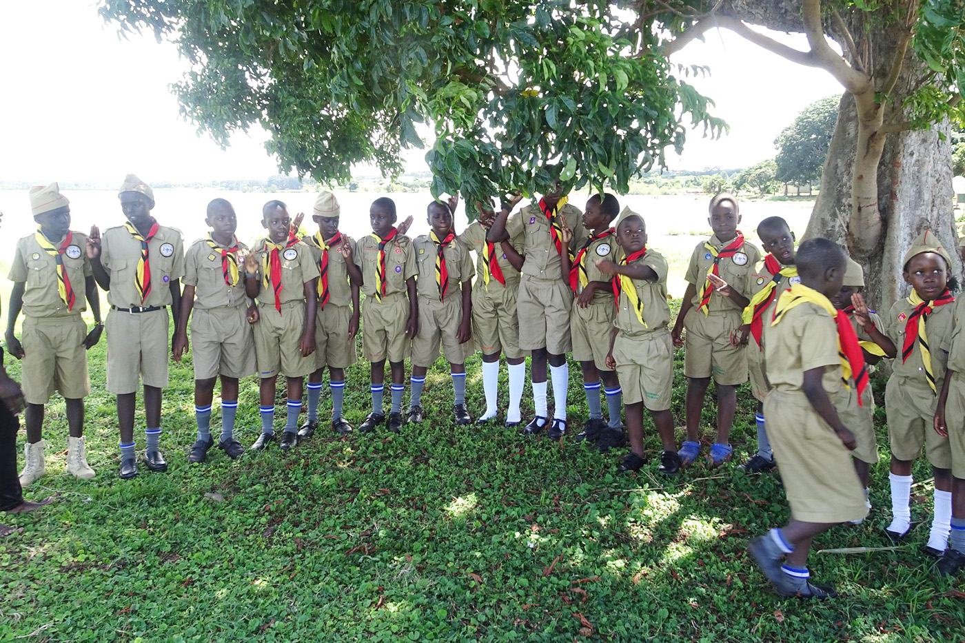 Scouts_2 Scouts_2